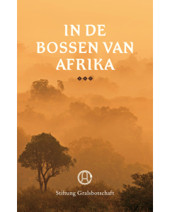 In het Licht der Waarheid - Graalsboodschap, Deel 1 (eBook)